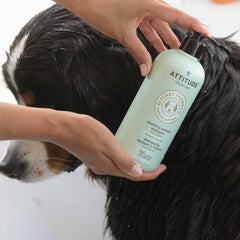 Pet Shampoo - Soothing Unscented-16 FL. OZ.