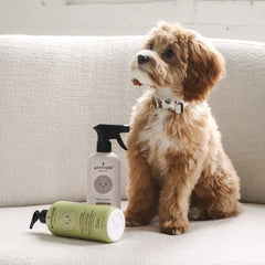 Pet Fabric Refresher Lavender-16 FL. OZ.